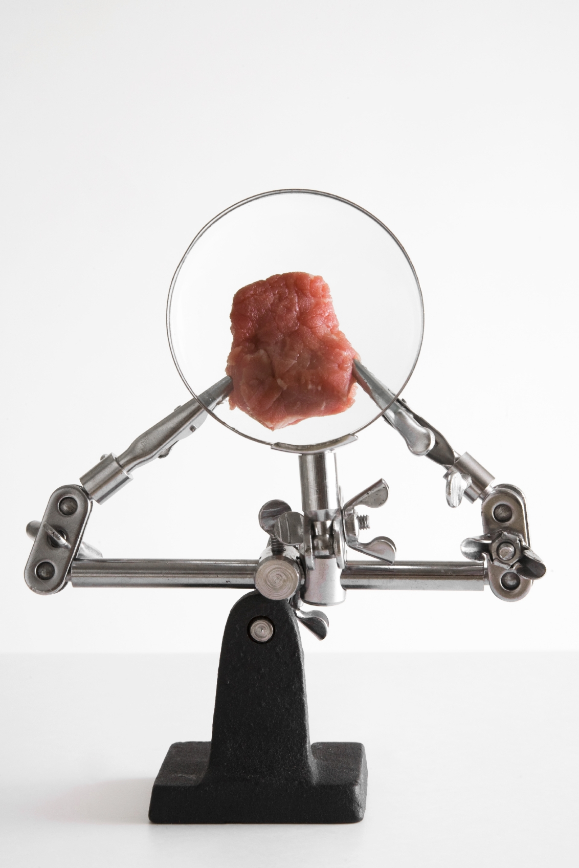 A piece of meat is examined through a magnifying glass on a stand.