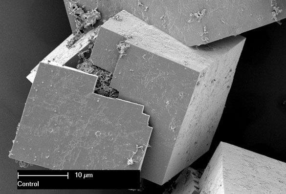 Electron micrograph of a metal organic framework