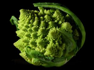 There's maths in everything, even broccoli! Image: Jon Sullivan 