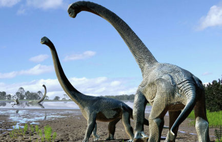 Two large sauropod dinosaurs on the shore of a lake.