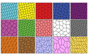 Image of a grid, each square is a differrent colour and divided up by different shaped pentagons.