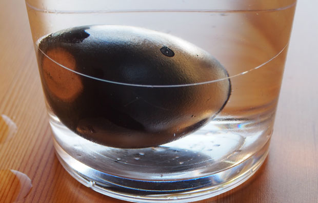 Photo of a soot covered egg in a glass of water.