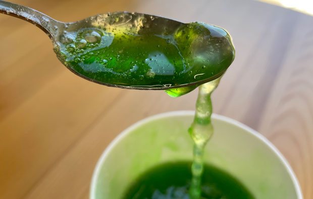 Spoon dripping jelly like green liquid into a bowl.