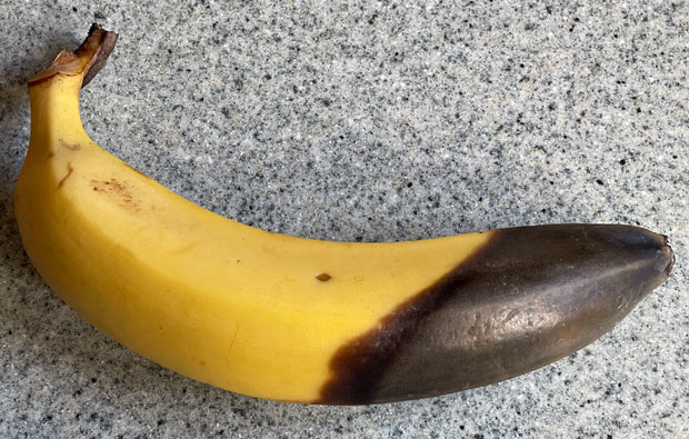 a banana that is brown at one end