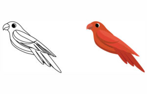 Line drawing of a bird next to the same bird coloured red.