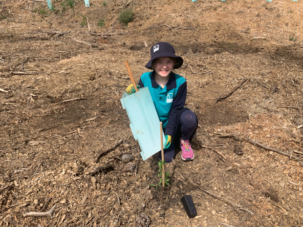 Girl kneeling, holding tree planting equipment next to a newly planted tree
